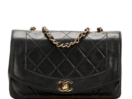 Chanel Diana Flap Crossbody Bag For Cheap