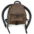 Backpack Luxury Designer By Louis Vuitton  Size: Small on Sale