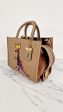 Coach x Jean-Michel Basquiat Rogue 25 Pez Dispenser Dinosaur Bag in Elm Leather & Suede - Handbag Crosbody Shoulder Bag in Taupe Beechwood - Coach 6889 For Cheap